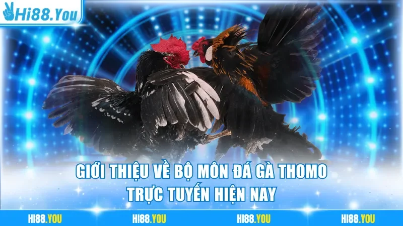 Đá gà Thomo là trò chơi với những pha đấu quyết liệt