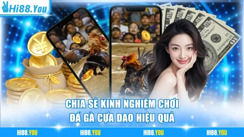 Kê thủ lâu năm chia sẻ kinh nghiệm chơi đá gà cựa dao hiệu quả