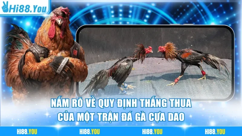 Nắm rõ về quy định thắng thua của một trận đá gà cựa dao