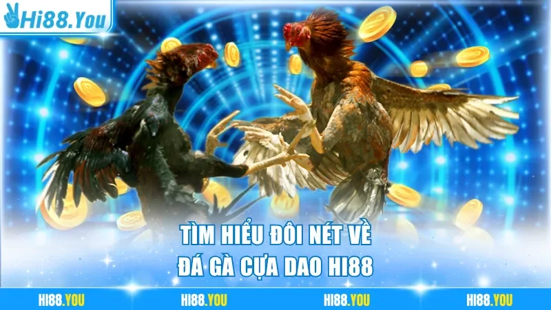 Tìm hiểu đôi nét về đá gà cựa dao Hi88