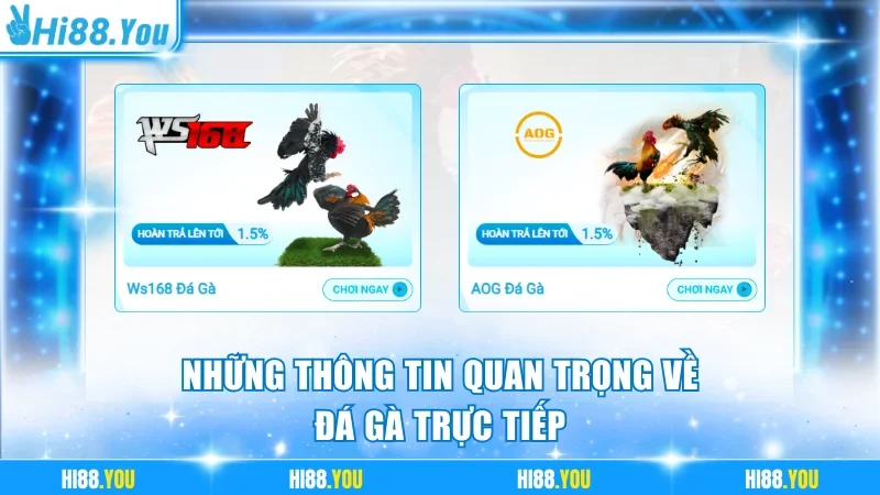Toàn bộ thông tin về đá gà trực tiếp cần biết